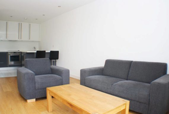 1&nbsp;Bedroom&nbsp;Apartment